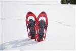 A pair of snowshoes sticking out of the snow